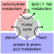 Metabo/lo/no/mics